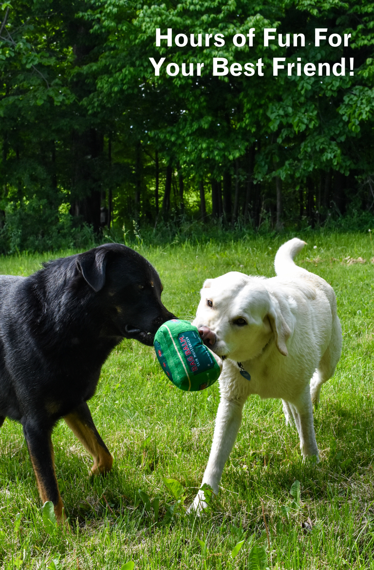 Dogs with Bag Balm dog toy