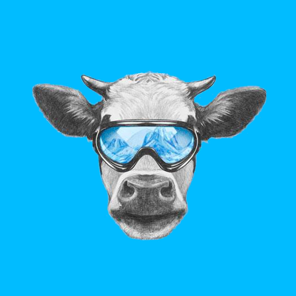 Tips Up! Why Every Skier Wants Bag Balm In Their Stocking