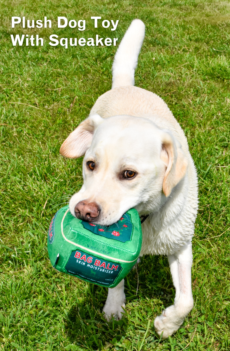 Dog with Bag Balm dog toy