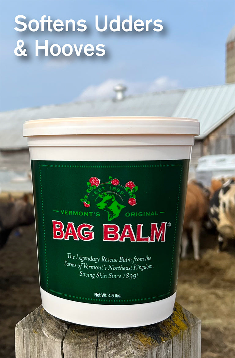 Bag Balm Jumbo Pail - 4.5 LBS