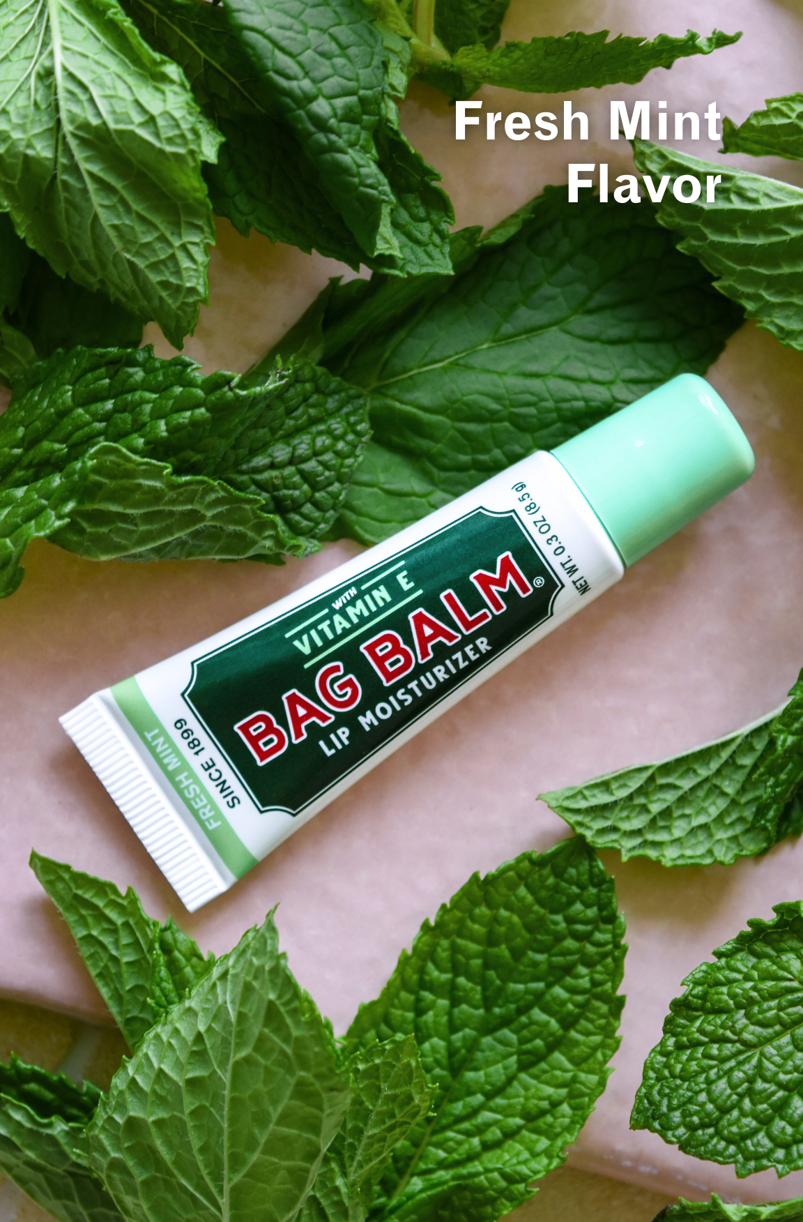 Tube of mint lip balm with mint leaves