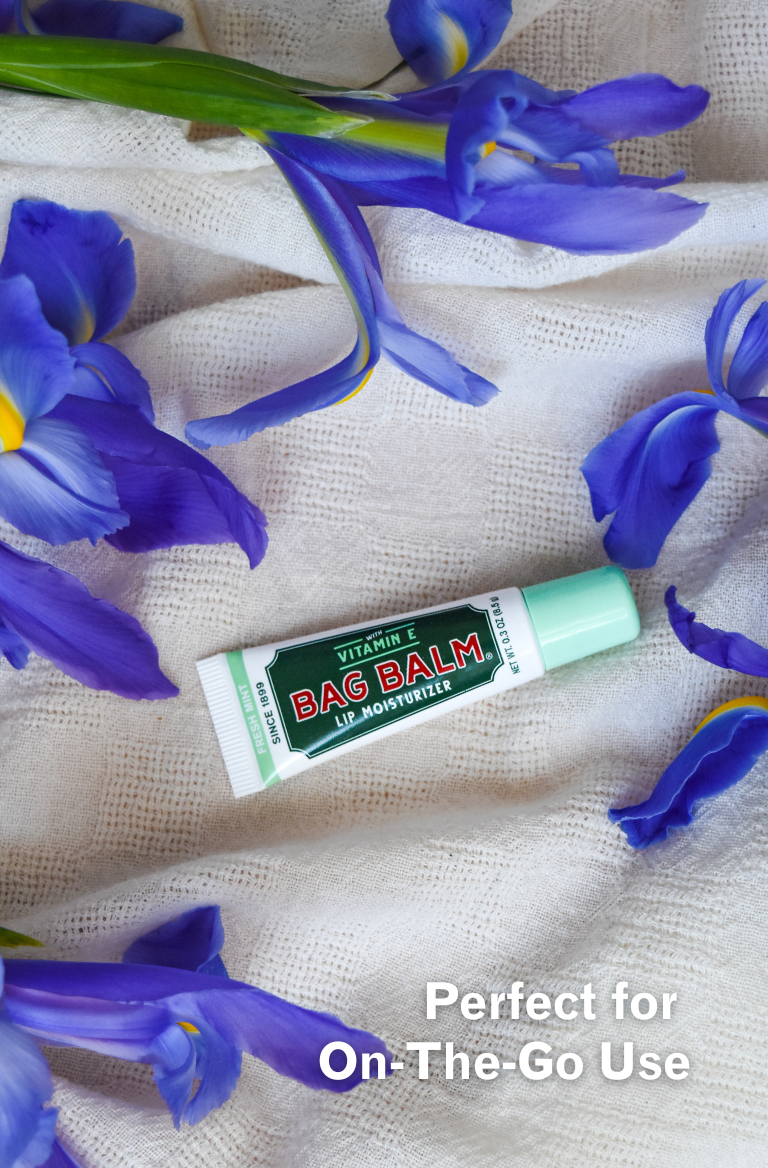 Tube of Mint Bag Balm Lip Balm