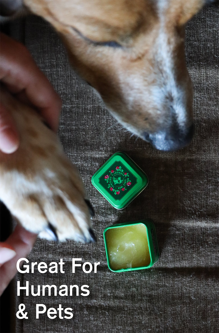 Mini tin of Bag Balm