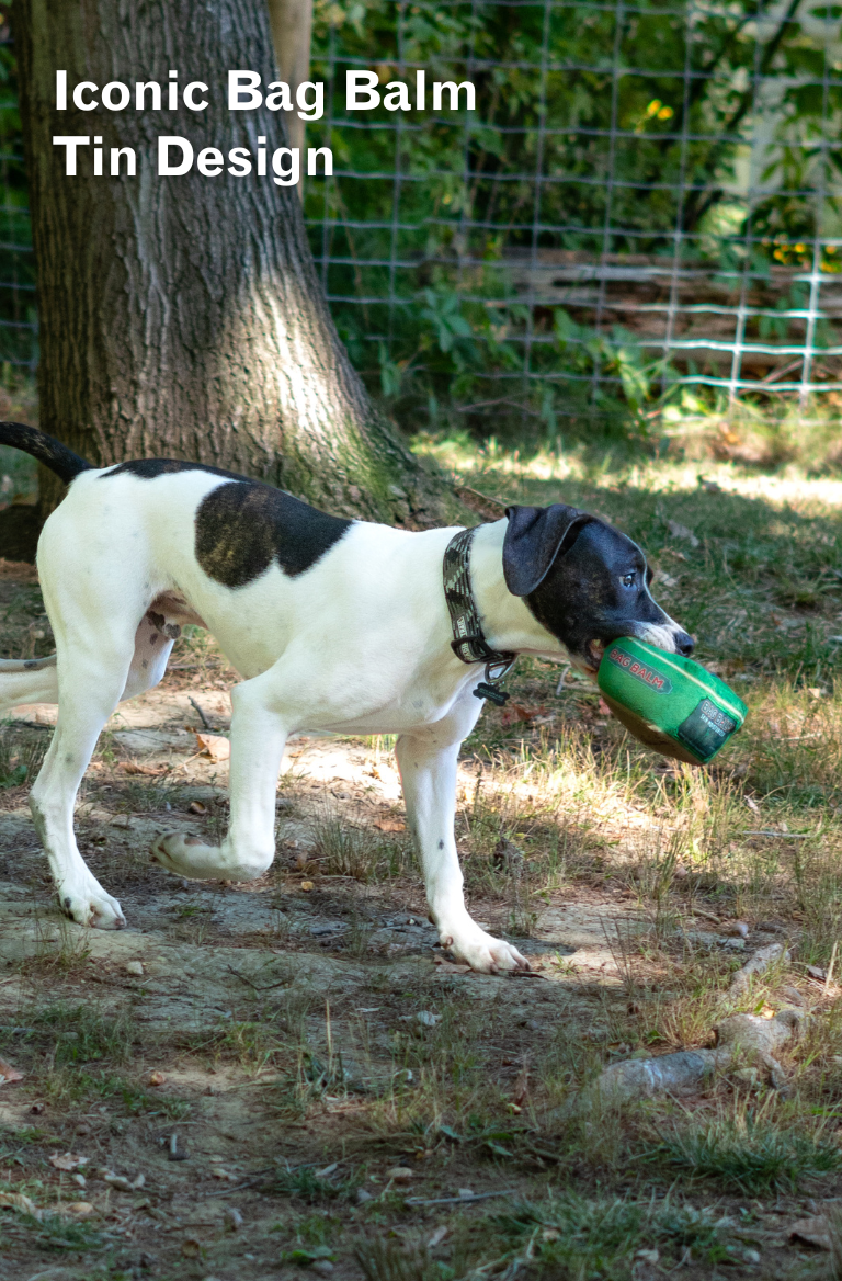 Dog holding Bag Balm dog toy in its mouth outdoors near a tree