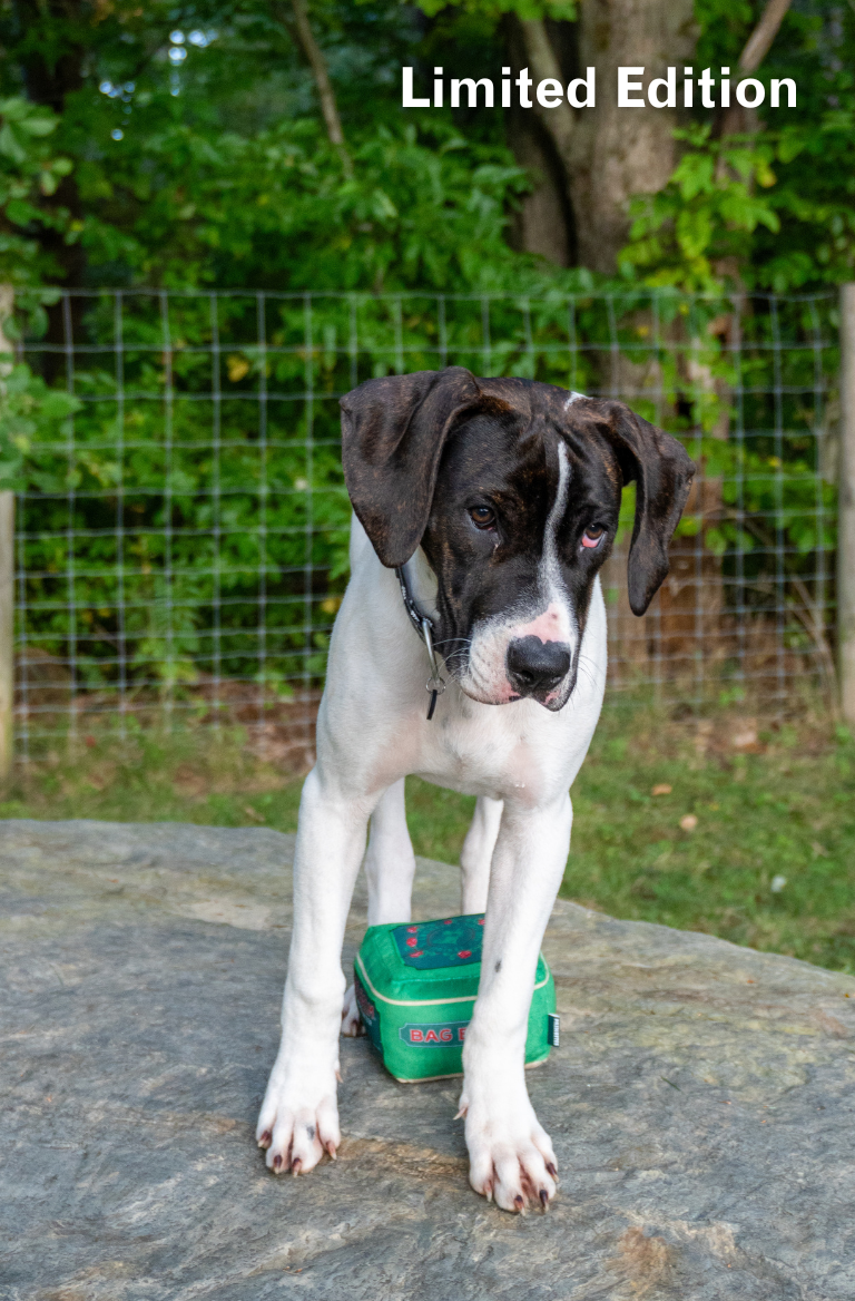 Dog with Bag Balm dog toy